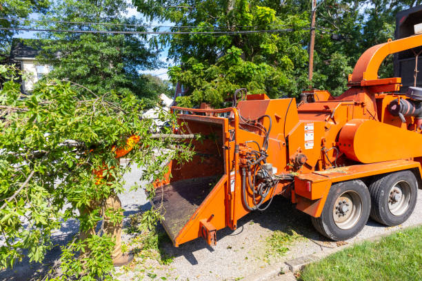 Best Emergency Tree Service  in South Temple, PA